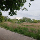 8a40c15dba292a982eabd76731872c7f_0