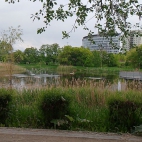 c37c6817efc2410a6c3aa861344a8e47_0