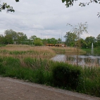 4a1c8b44c5ebc54c218379d0f502eeb5_0