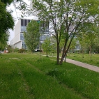 6cfcf4a0febf2e4d846fc034f6ea71e4_0