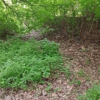 dd8ea5c0880e5efbb2dd660b85337837_0