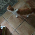 9bdfc87df8a54f4d1b6f624e9a848843_0