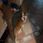 51dee9cbbc688e3a9c7cc3a24fe162d9_0