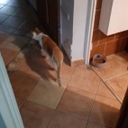 64b9147b9ebe0c0d4c569d3956767569_0