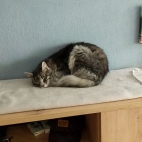 b17c1bc2ed4d8e48d3341d5df86cf296_0