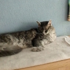 8369f5468632b7cd154bb7f2a8b7c159_0