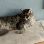 7bc7d8a4be82e8a3237753075ee12eb9_0