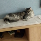 f43361d5ef6980b65ed22b4859ee9725_0