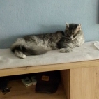 2a24aa484cb00d352ec0ef623d57f0b7_0