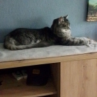 27ea5455100ea32a4f72c5b7110b1165_0