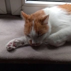 8544bdc5f2a4372eec926e03561fd19a_0