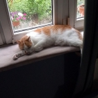 0319d6eff4342b891f94be824d566932_0