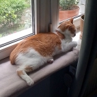 c52d5d46c97f211e89463d20f9146905_0