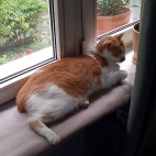 dead73ff6f76cc907c440ad379f32ca4_0