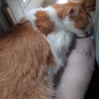 5577a6ff4ebfee3721aa2632965ff42f_0