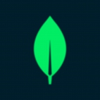 246656344_10165689418720557_4225476852778908330_n