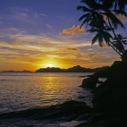 tapeciarnia.pl-175841_morze_palmy_zachod_slonca_seszele
