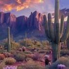 466417558_964042962420722_3061480451724462892_n