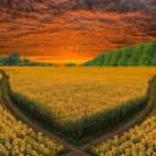 466927934_122198536874020011_1215314509582052655_n