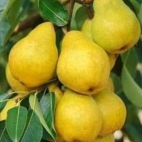 466904916_122198536946020011_4505870114906952197_n