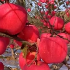 466592546_122198537168020011_1158616881690168788_n