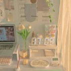 466738552_122198536982020011_5468072347151667424_n