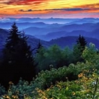 466679297_122198536112020011_5363639888154008355_n