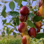 466679860_122198536076020011_6684811117847248215_n