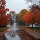 499385952_29558288120485834_8796966668099377646_n