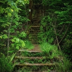 497192349_1750170542585467_8441320487757084947_n