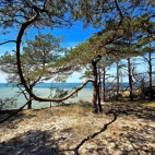 502874695_3150920325066835_4802615121607440707_n