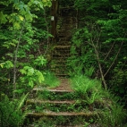 497192349_1750170542585467_8441320487757084947_n