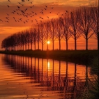 499545705_29558488513799128_8398972066326029196_n