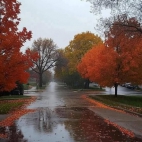 499385952_29558288120485834_8796966668099377646_n