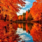 500032632_527670720425365_2075569416490580004_n