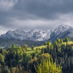 498314304_2817616355088938_832961747399583137_n