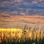 466338706_122198536106020011_2966812329893875000_n