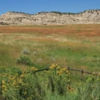 466672820_122198535872020011_2717953780903051666_n