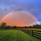 466913035_122198536118020011_9116578905747897401_n