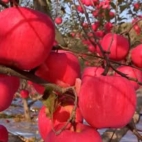 466592546_122198537168020011_1158616881690168788_n