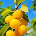 466563215_122198538086020011_5808912624030430951_n