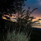 466737906_122198537738020011_8573159384039119390_n