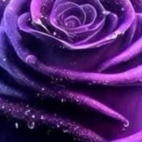 495485565_665233569769243_4273750590411359443_n