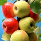 1612ff5cfb864a9bc34dd54b68ed3d65_900