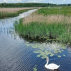 516123646_1394395511639787_6016720511652341482_n