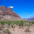 516645347_1135633281935793_5820391181280385796_n