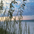 515950447_10230286292286793_4496057868541614399_n