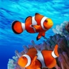 375986635_3615296745372352_5009763593684232388_n