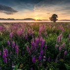 518275092_1279560054177225_2073980025618036831_n