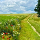 519675669_2095097800975921_833398733331788856_n